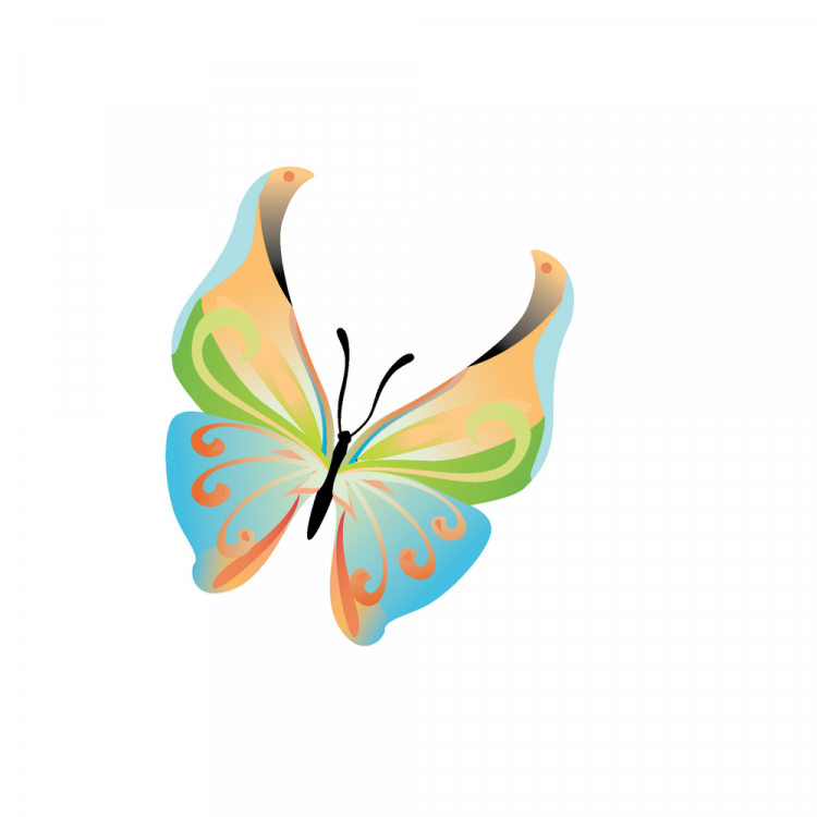 free vector 14 Colours butterfly vector